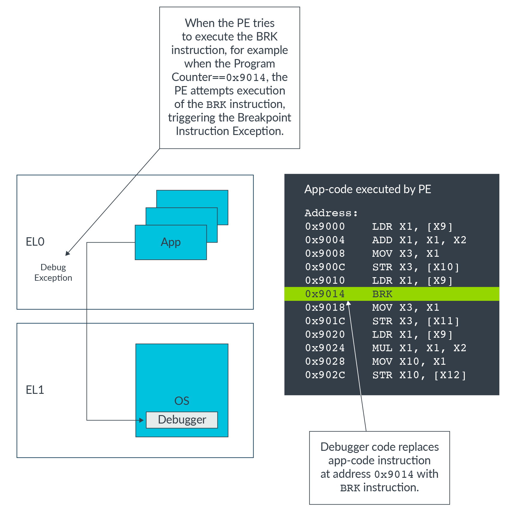 Learn the Architecture AArch64 selfhosted debug Arm Developer